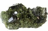 Lustrous Epidote Crystal Cluster with Actinolite - Pakistan #41584-1